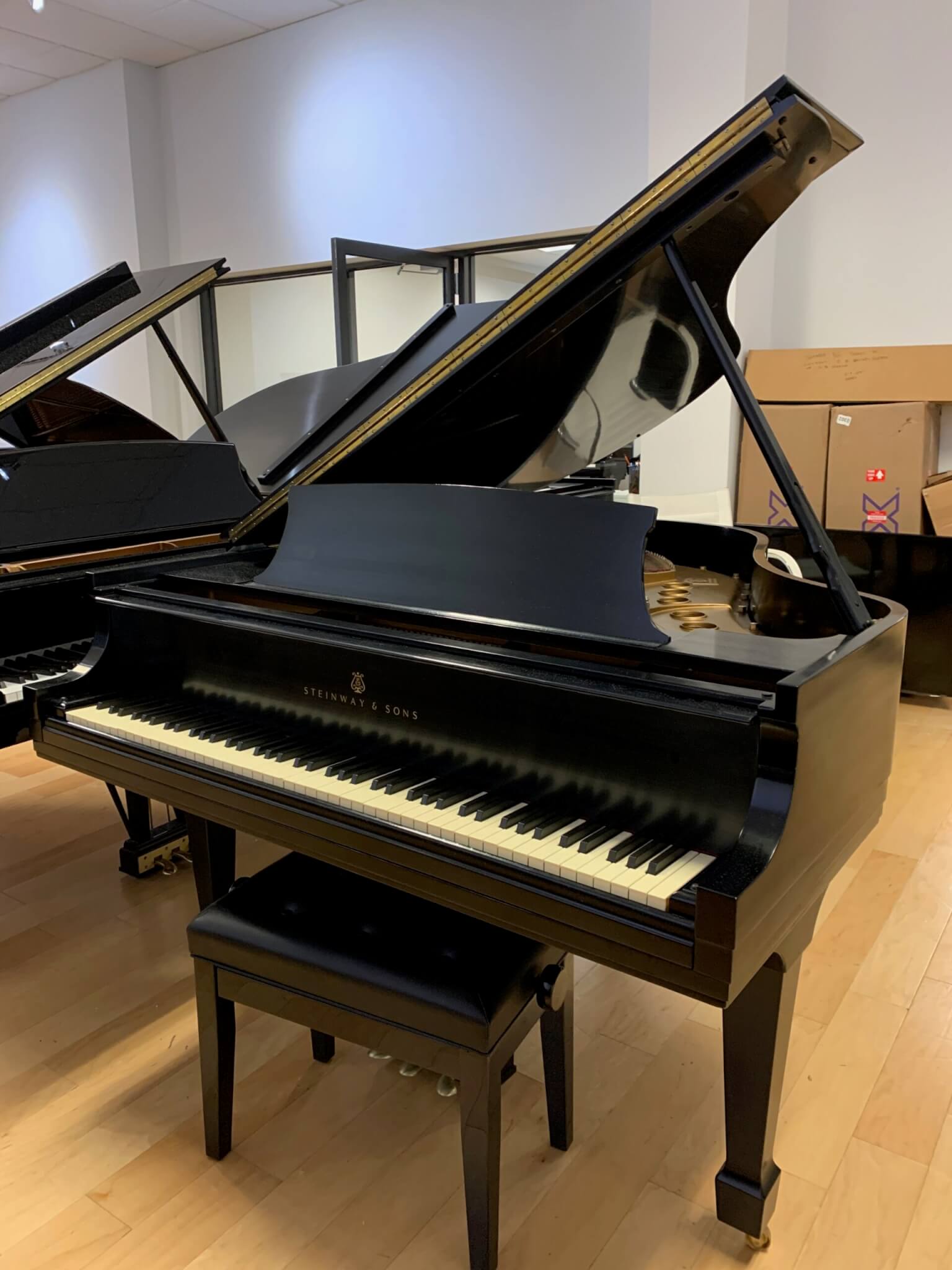 Steinway M (5'7") Ebony Satin Baby Grand - PianoGalleryOutlet